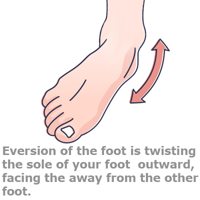 twd-eversion-ankle1 twd-eversion-ankle1