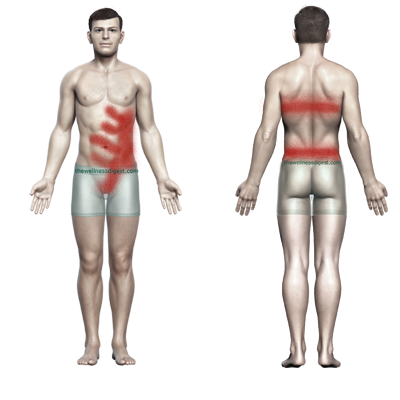 oblique-pain400