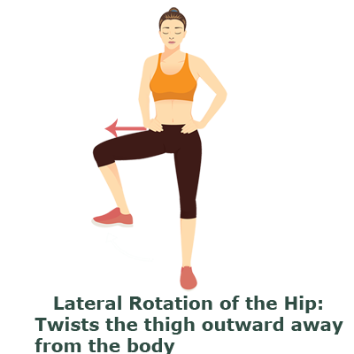 rotation-lateral-hip rotation-lateral-hip