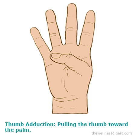 thumb-adduction1a thumb-adduction1a
