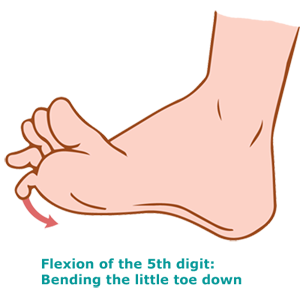 twd-little-toe-flexion1 twd-little-toe-flexion1