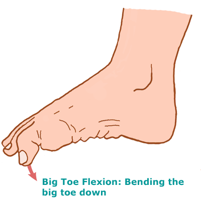 ntwd-big-toe-flexion