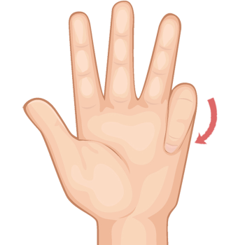 -flexion-little-finger -flexion-little-finger